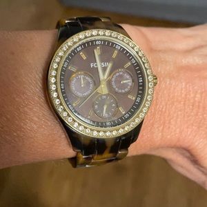 Tortoise Fossil Watch